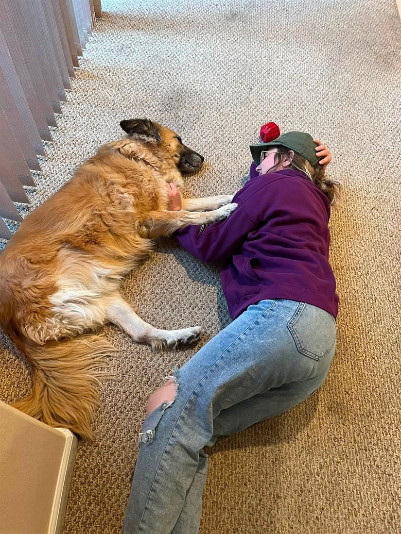 A sitter lying on the carpet cuddling a big fluffy dog