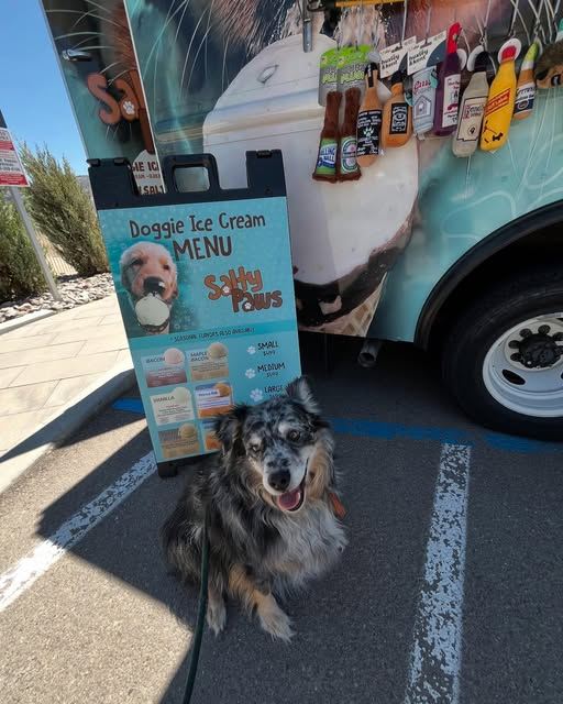 A pup sitting in front of a doggie ice cream truck